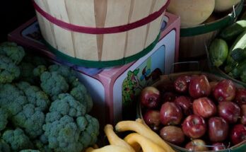 미국증시 알아야 한국증시 이긴다